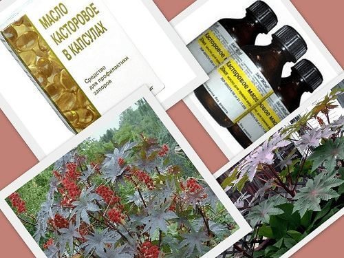 Целительные свойства касторового масла