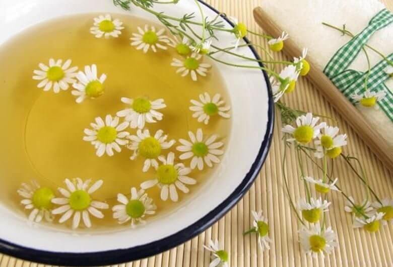Свойства ромашки