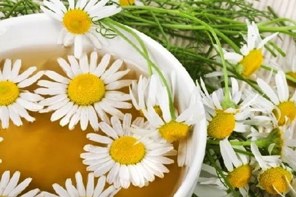 Ванночка из отвара ромашки