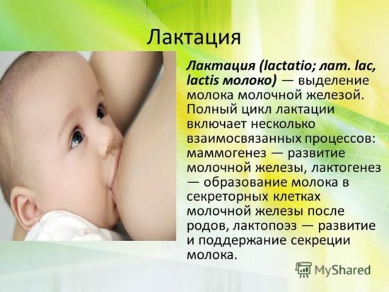 Лактация