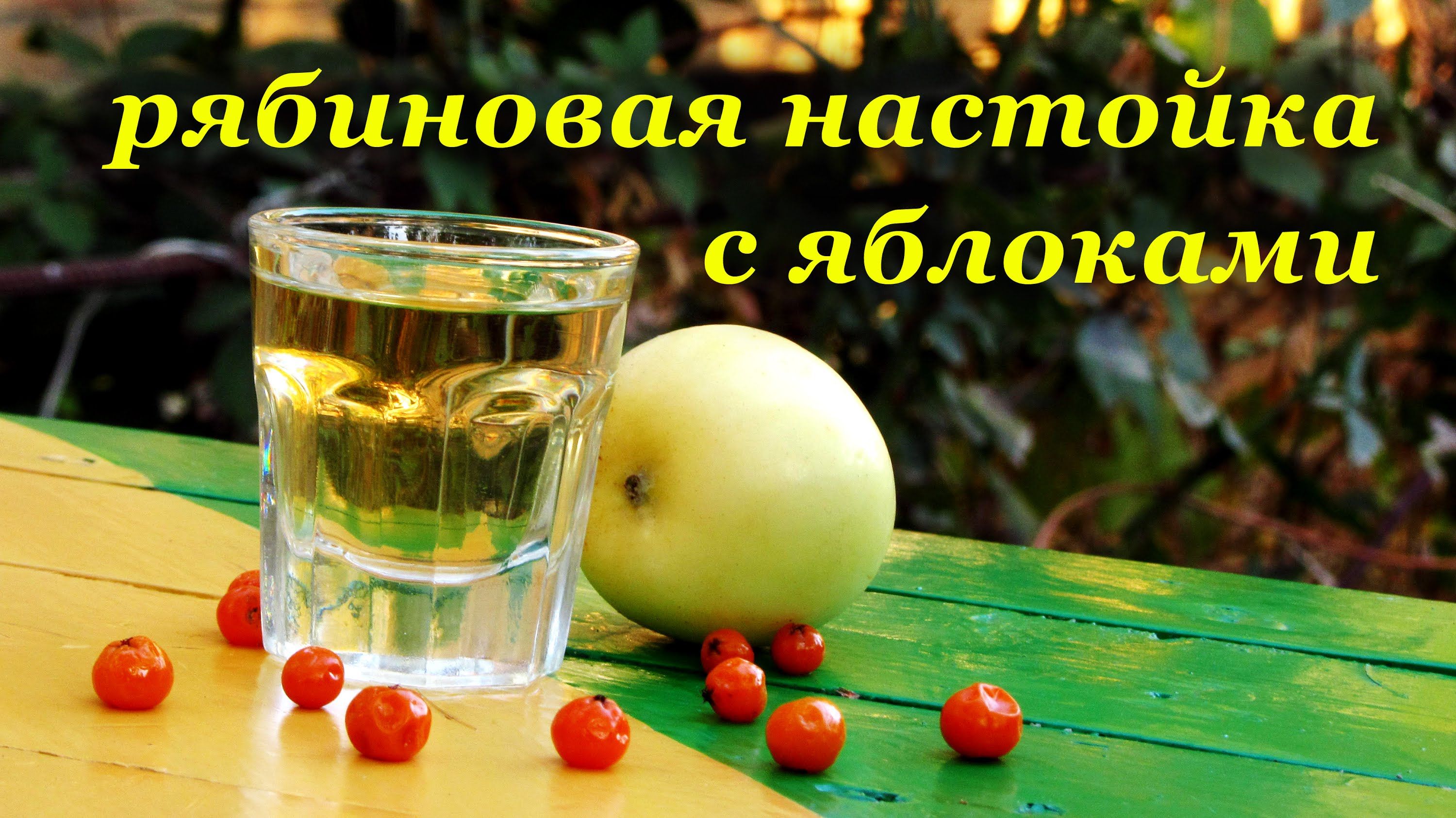 Рябиновая настойка от геморроя